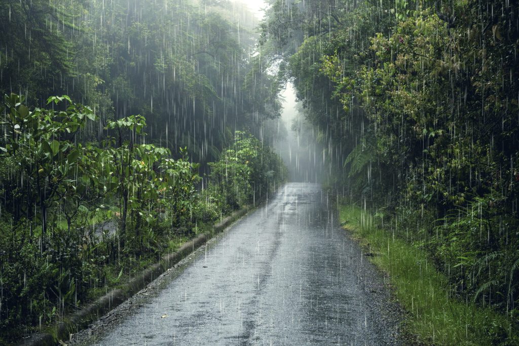 Getting 10,000 steps when its raining can be difficult