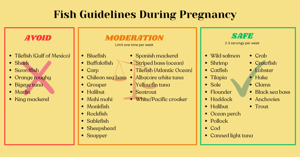 Fish Guidelines 6 Food Lies Pregnant Women Are Told - Fit Preethi