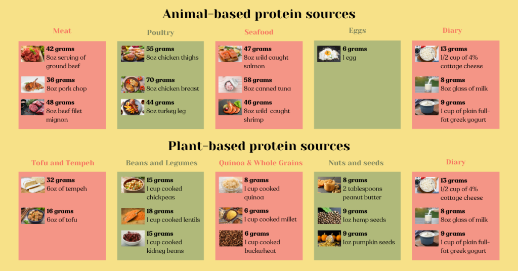 Animal-based protein sources vs. Plant-based protein sources