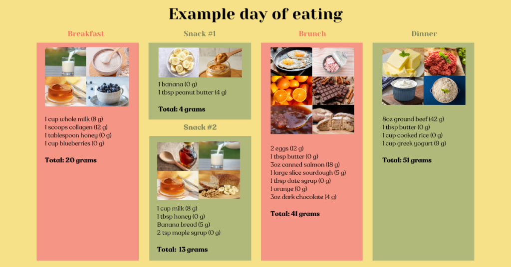 Example of eating 100 grams of protein per day