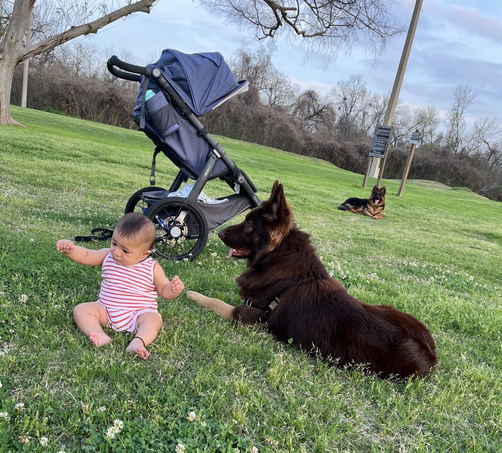 Must-haves for new moms: Uppababy jogger stroller